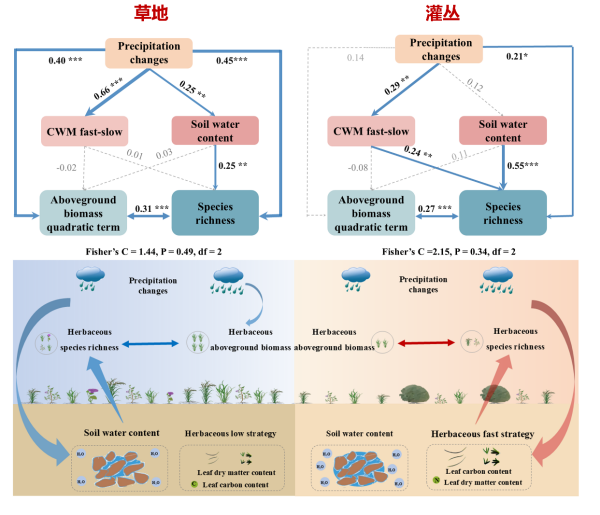 U020260507657137966993.png